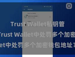 Trust Wallet私钥管理 如安在Trust Wallet中处罚多个加密钱包地址？